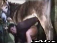 Female whore deepthroats a pony's cock in girls sex horses clip and gets banged in beastiality porn 